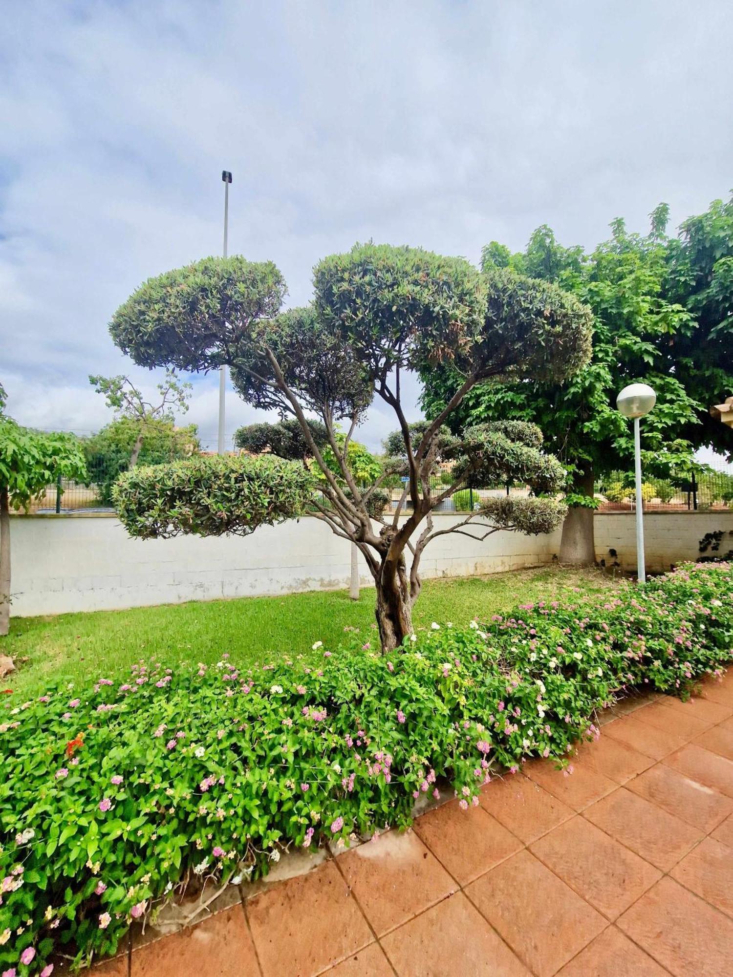 Sr Luxury Penthouse Apartment *